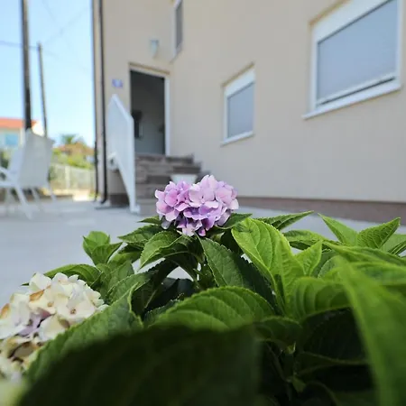 Anastazia זאדאר